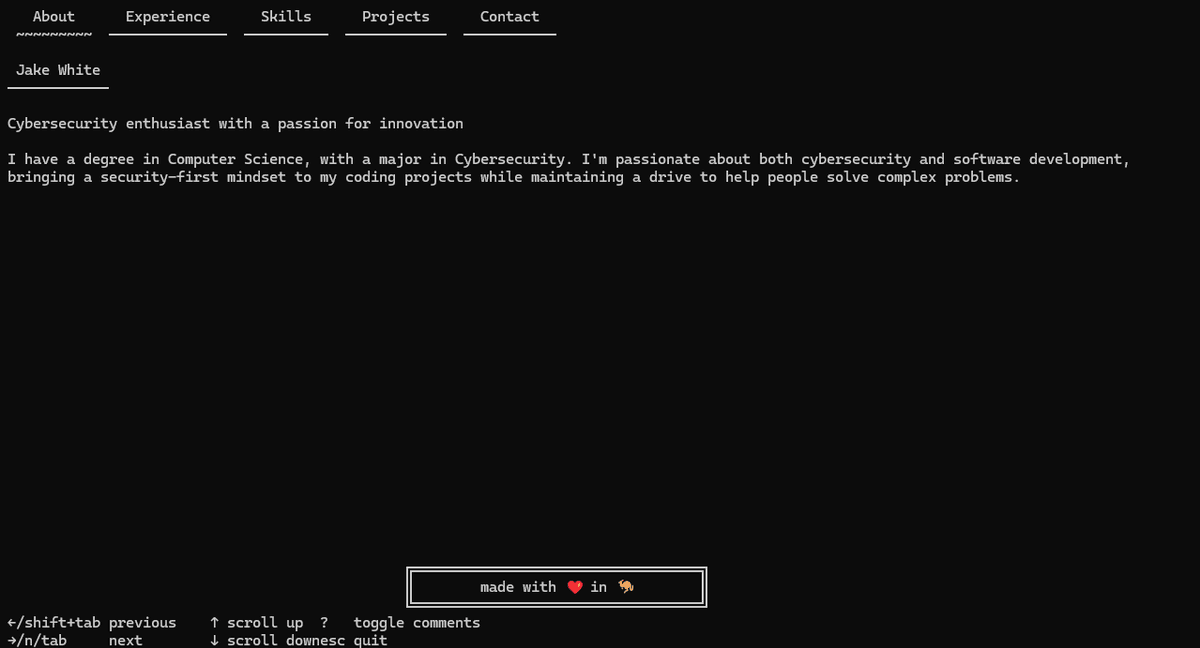 Portfolio TUI App Screenshot